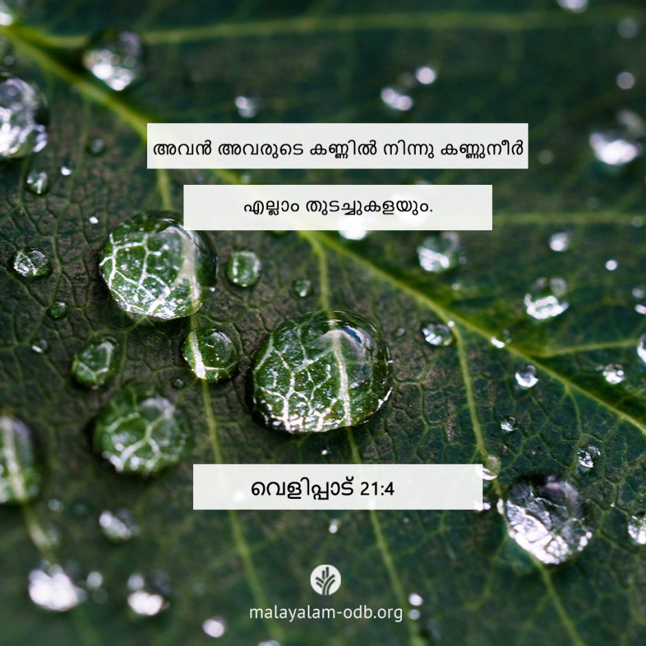 Share Malayalam ODB 2025-07-25