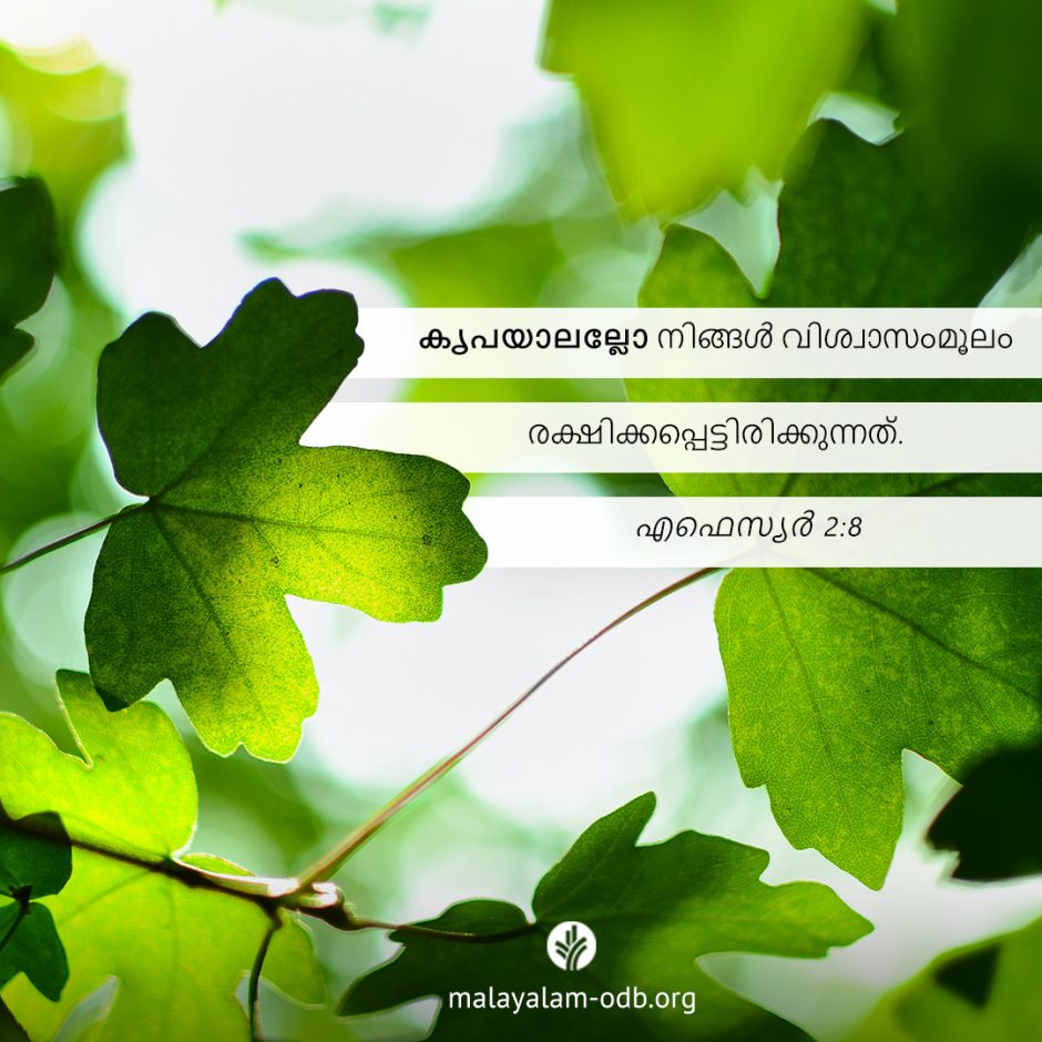 Share Malayalam ODB 2025-07-27