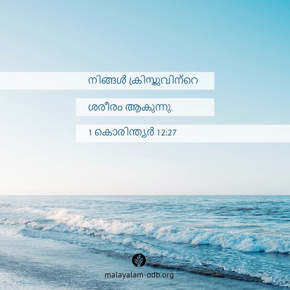 Share Malayalam ODB 2025-07-30