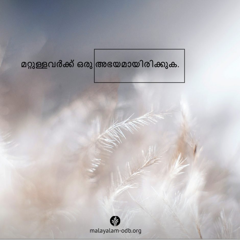 Share Malayalam ODB 2025-08-04