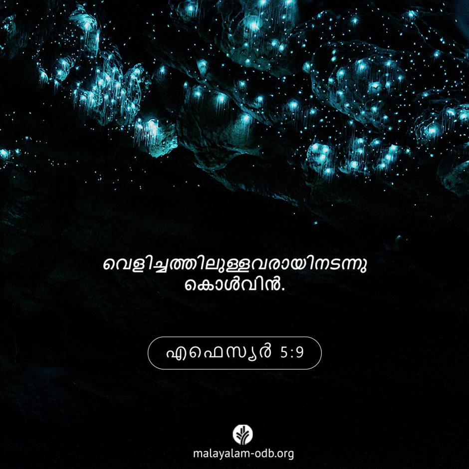 Share Malayalam ODB 2025-08-07