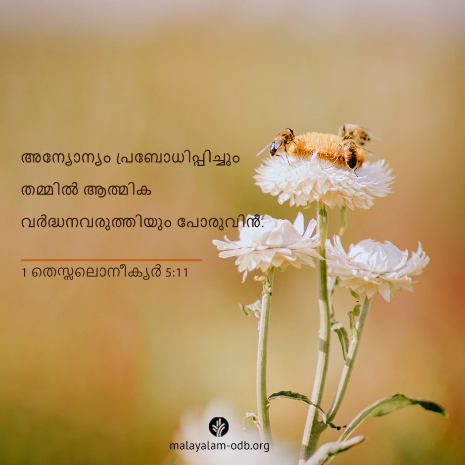 Share Malayalam ODB 2025-08-21