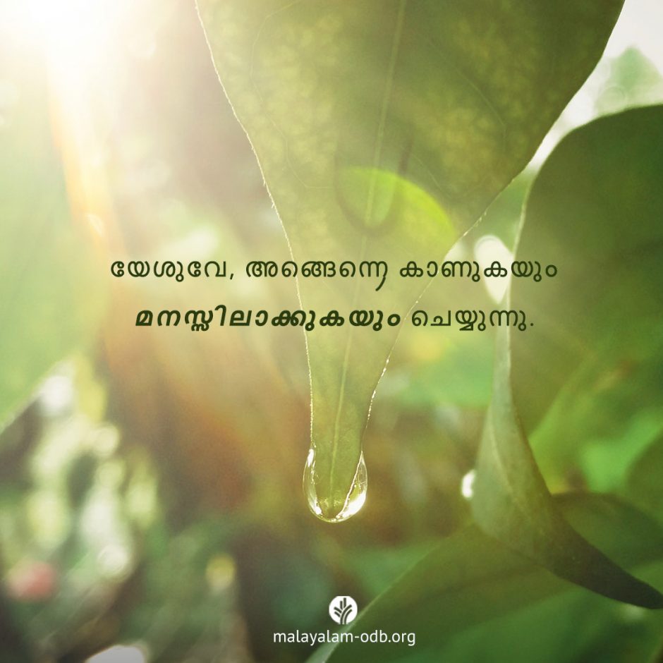 Share Malayalam ODB 2025-08-25 Share Malayalam ODB 2025-08-25