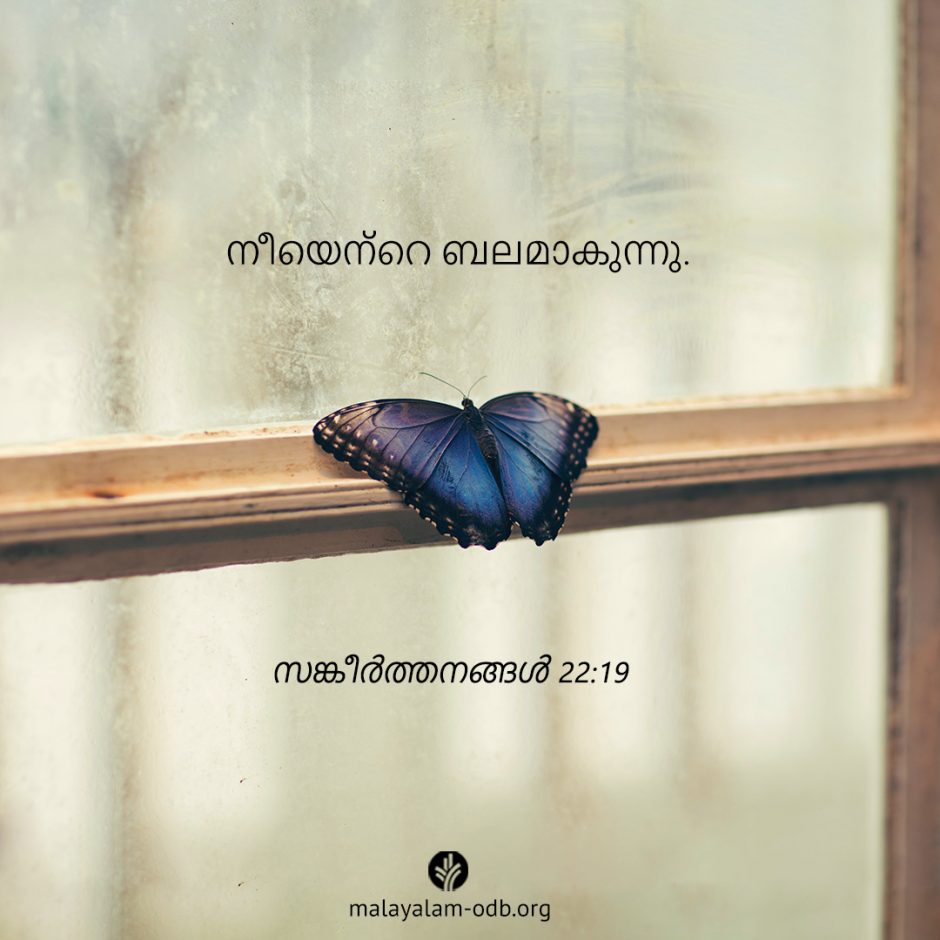 Share Malayalam ODB 2025-08-26 Share Malayalam ODB 2025-08-26