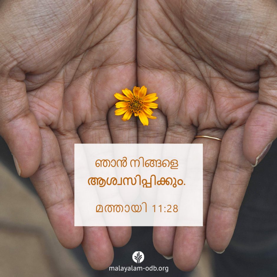 Share Malayalam ODB 2025-08-29 Share Malayalam ODB 2025-08-29