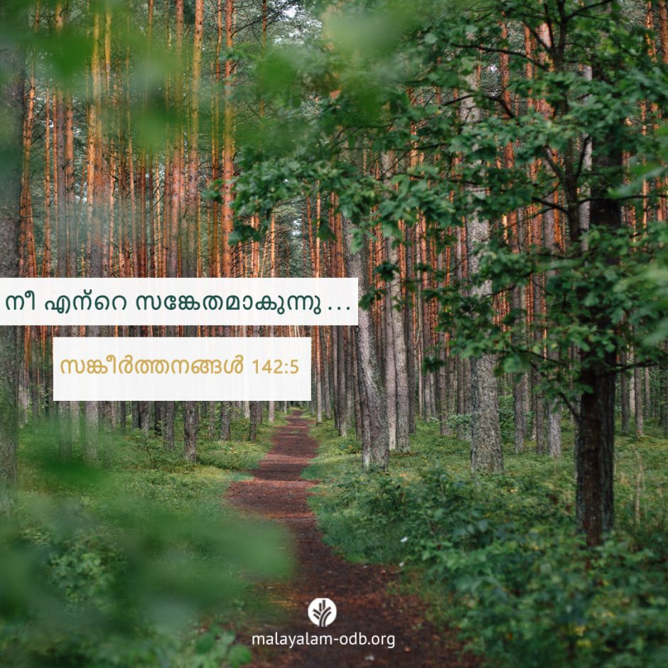 Share Malayalam ODB 2025-08-31 Share Malayalam ODB 2025-08-31