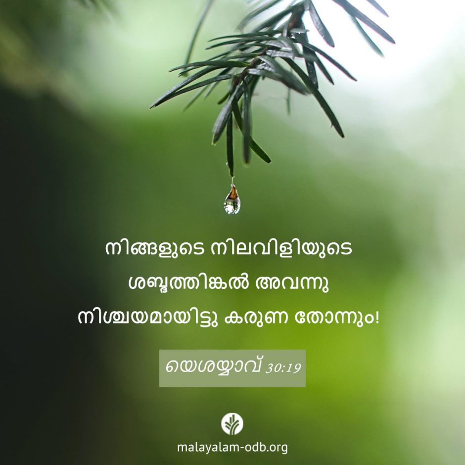 Share Malayalam ODB 2025-09-26 Share Malayalam ODB 2025-09-26