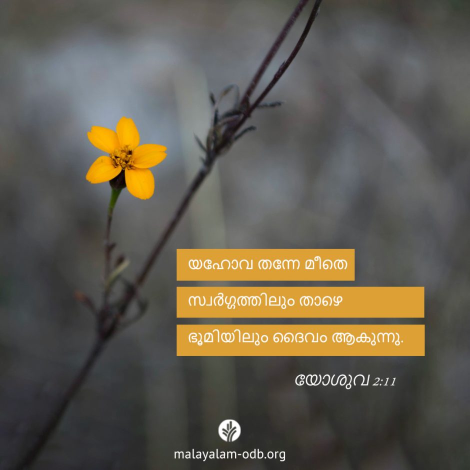 Share Malayalam ODB 2025-09-30