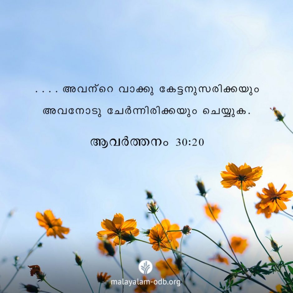 Share Malayalam ODB 2025-10-07