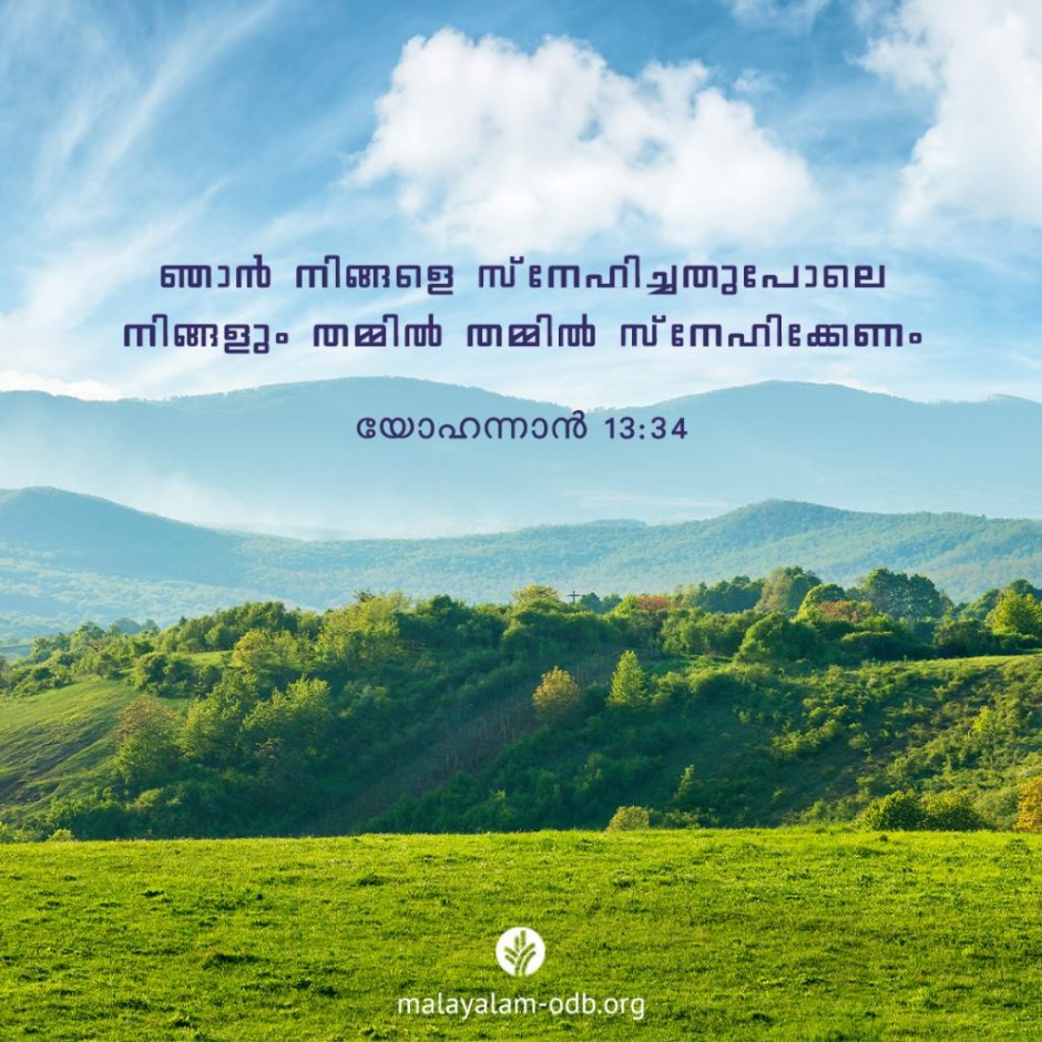 Share Malayalam ODB 2025-10-12 Share Malayalam ODB 2025-10-12