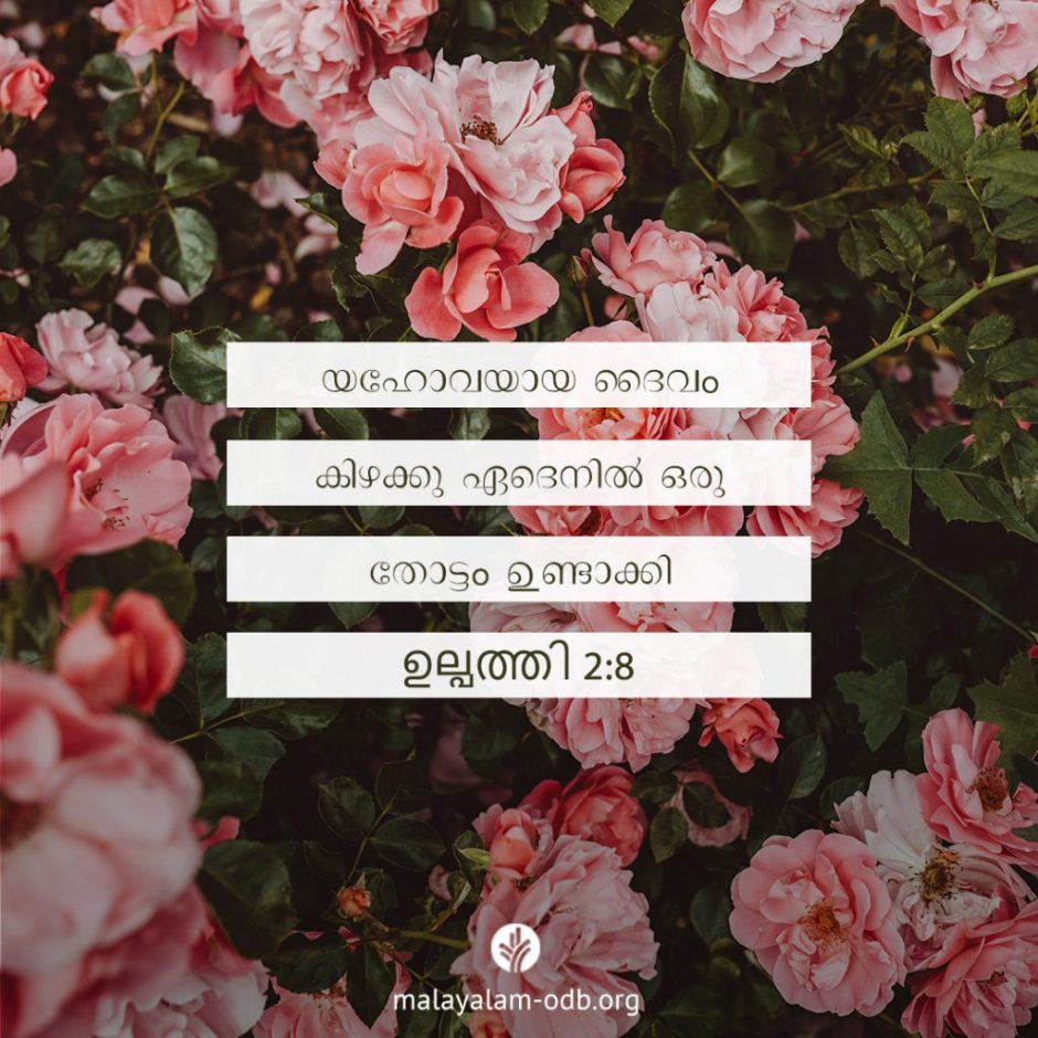 Share Malayalam ODB 2025-10-20