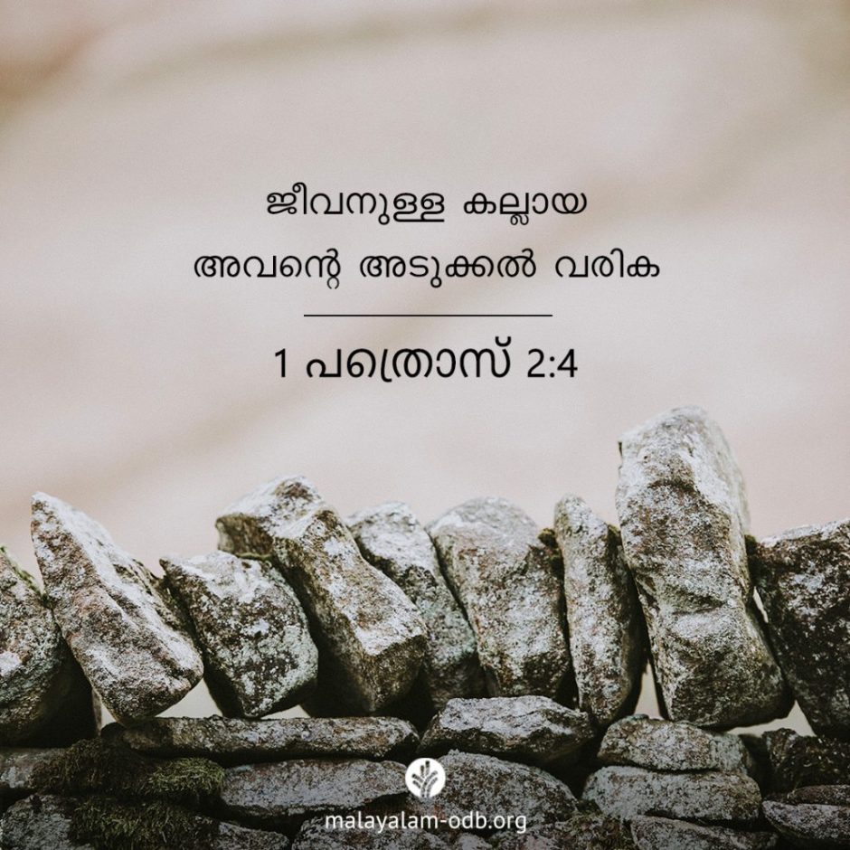 Share Malayalam ODB 2025-10-28