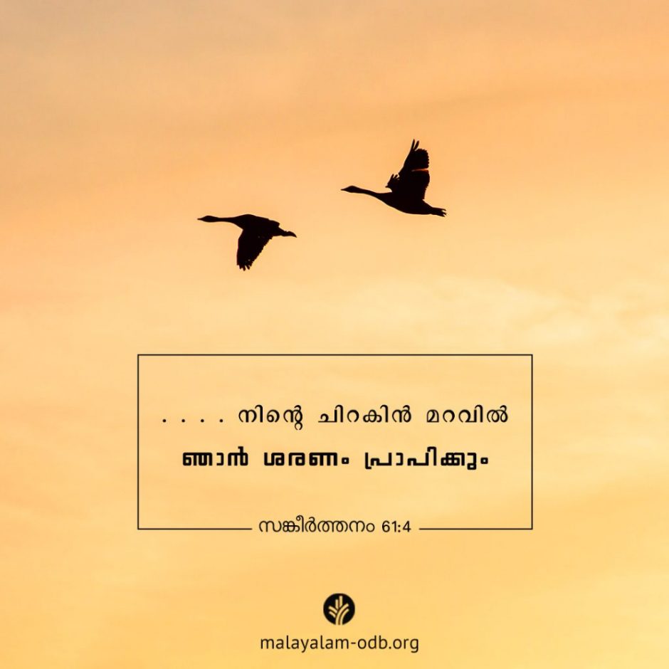 Share Malayalam ODB 2025-10-31