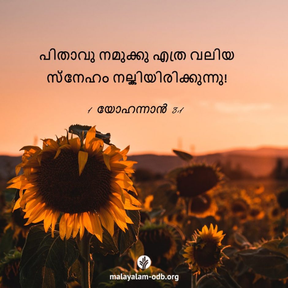 Share Malayalam ODB 2025-11-05 Share Malayalam ODB 2025-11-05