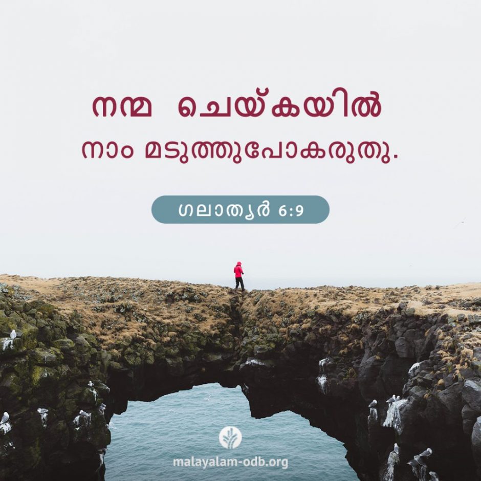 Share Malayalam ODB 2025-11-06 Share Malayalam ODB 2025-11-06