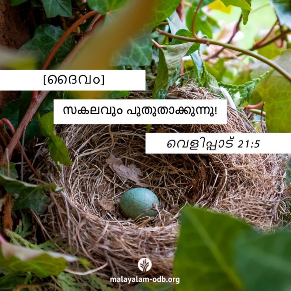 Share Malayalam ODB 2025-11-07 Share Malayalam ODB 2025-11-07