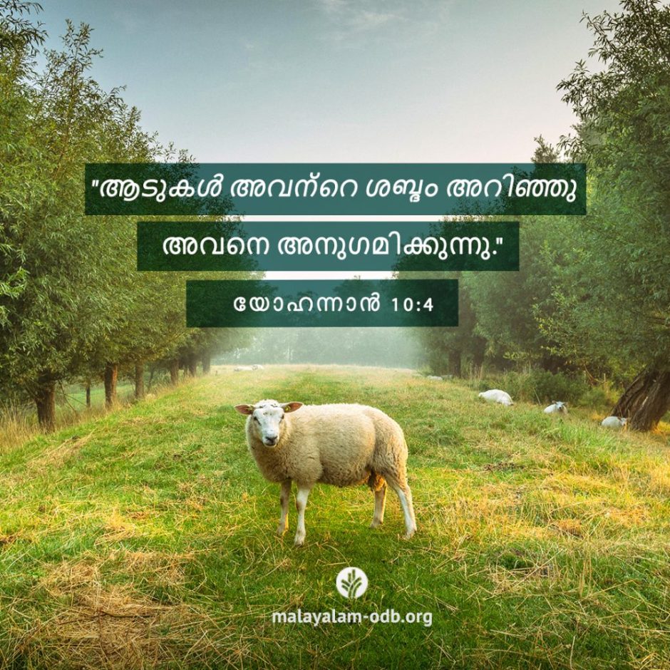 Share Malayalam ODB 2025-11-08 Share Malayalam ODB 2025-11-08