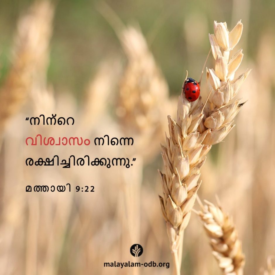 Share Malayalam ODB 2025-11-12 Share Malayalam ODB 2025-11-12