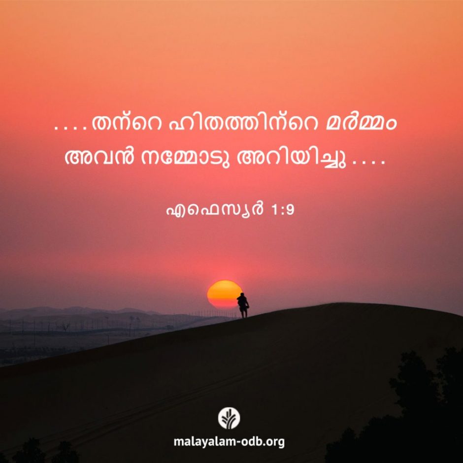 Share Malayalam ODB 2025-11-17