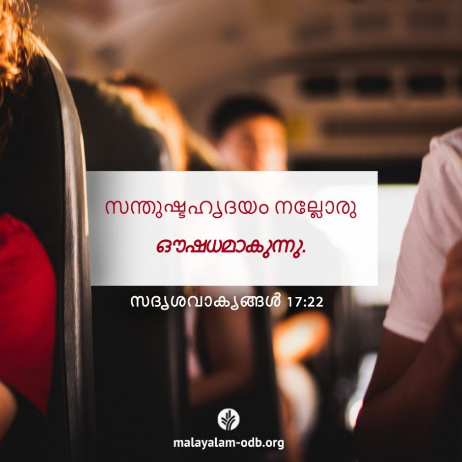 Share Malayalam ODB 2025-11-20