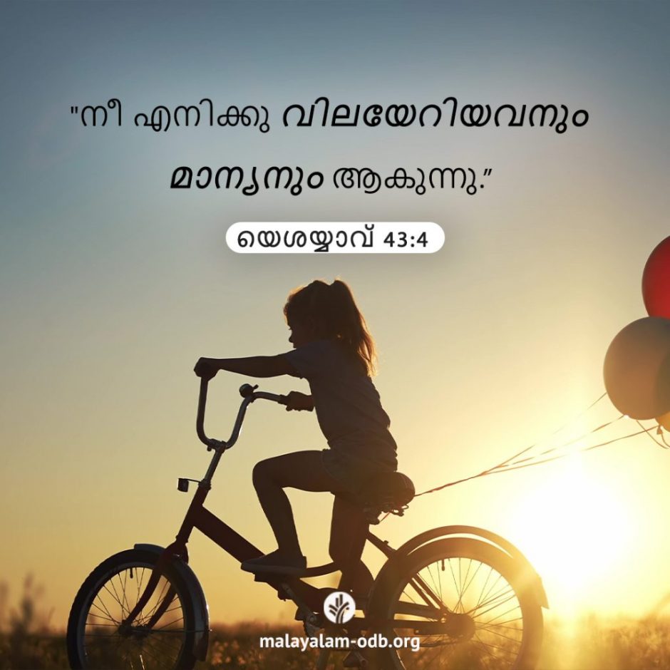 Share Malayalam ODB 2025-11-21