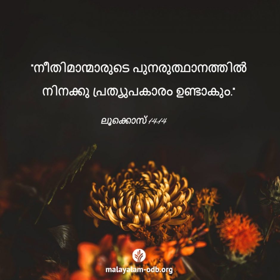 Share Malayalam ODB 2025-11-23