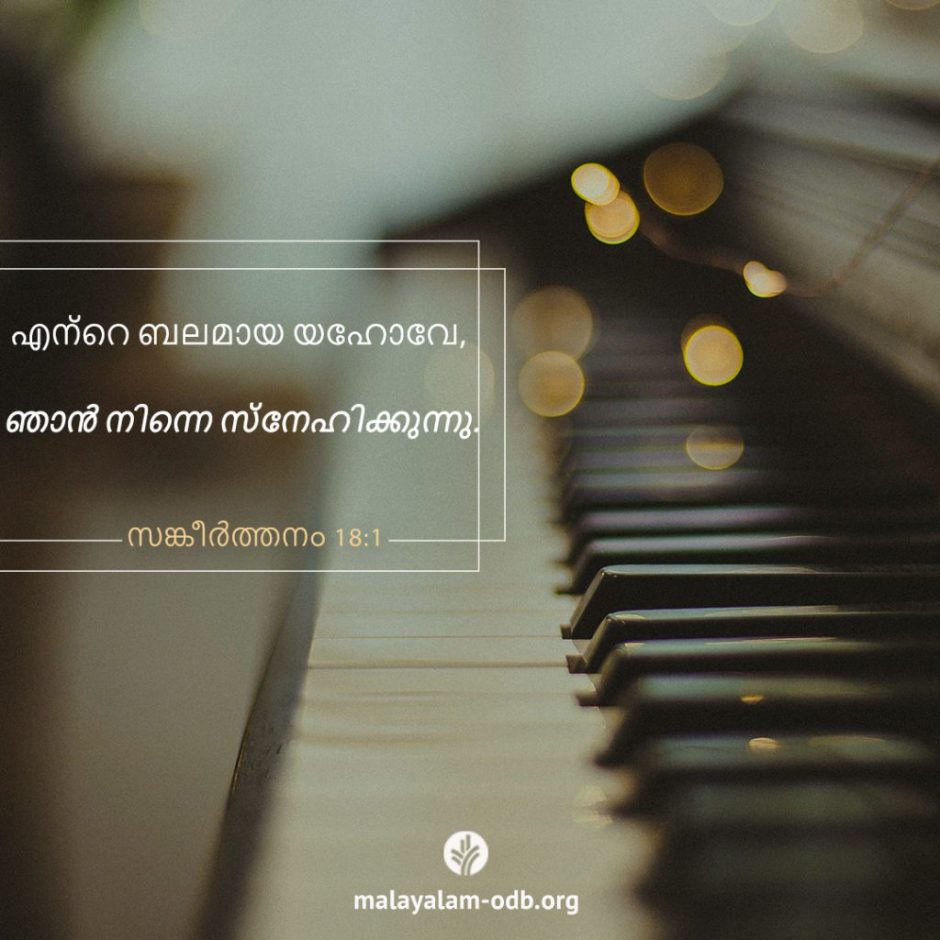 Share Malayalam ODB 2025-11-24