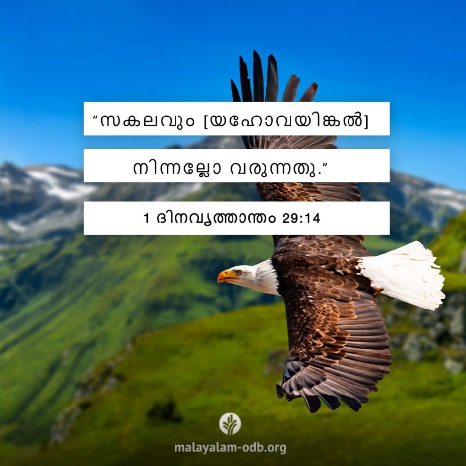 Share Malayalam ODB 2025-11-26 Share Malayalam ODB 2025-11-26