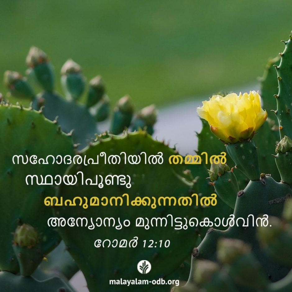 Share Malayalam ODB 2025-11-28 Share Malayalam ODB 2025-11-28