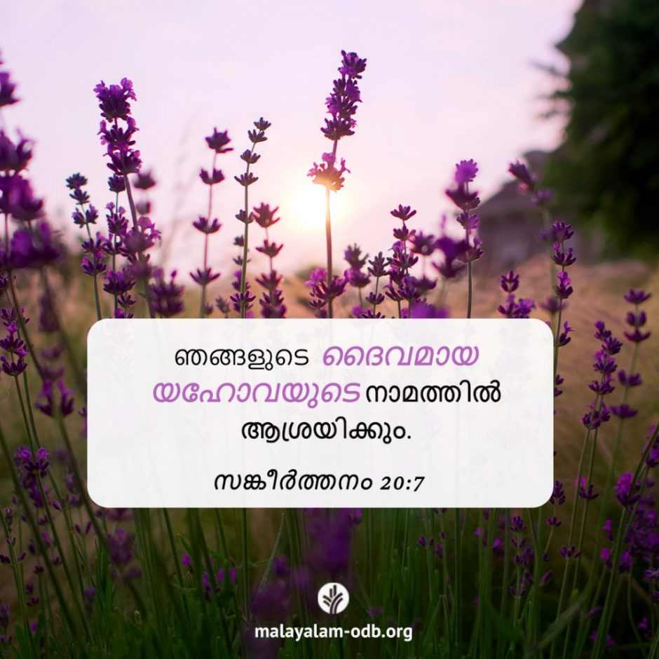 Share Malayalam ODB 2025-11-30 Share Malayalam ODB 2025-11-30