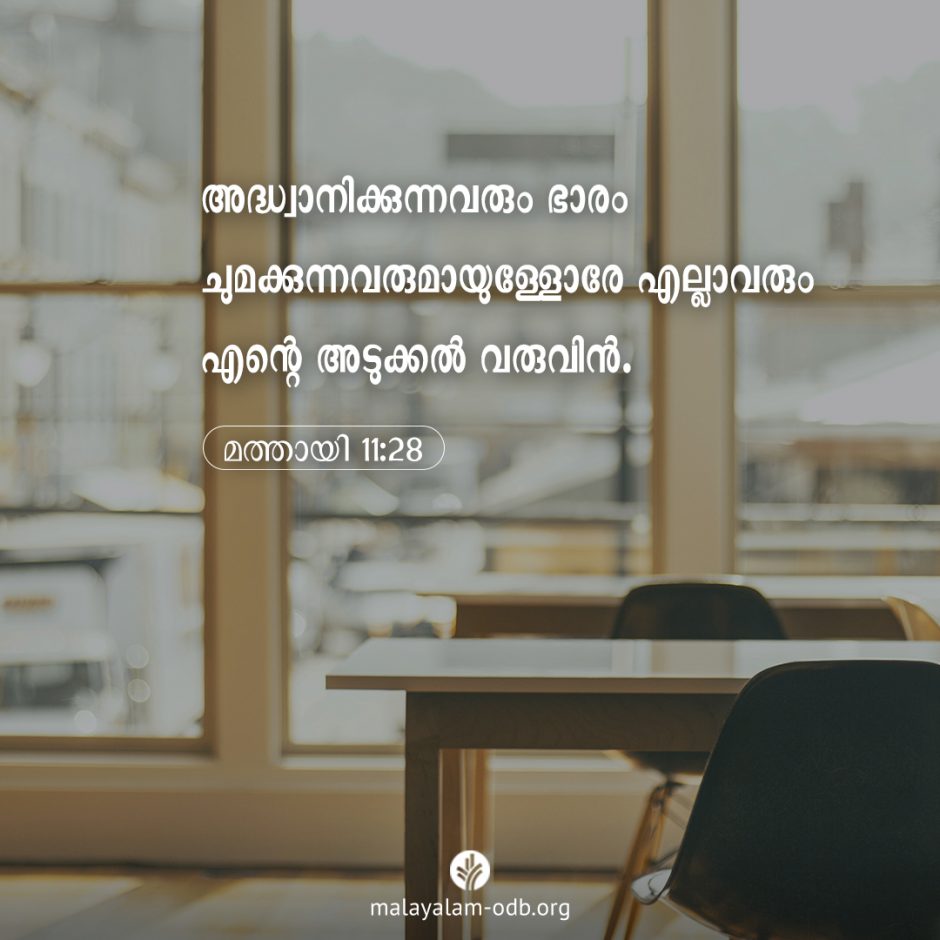 Share Malayalam ODB 2025-12-01