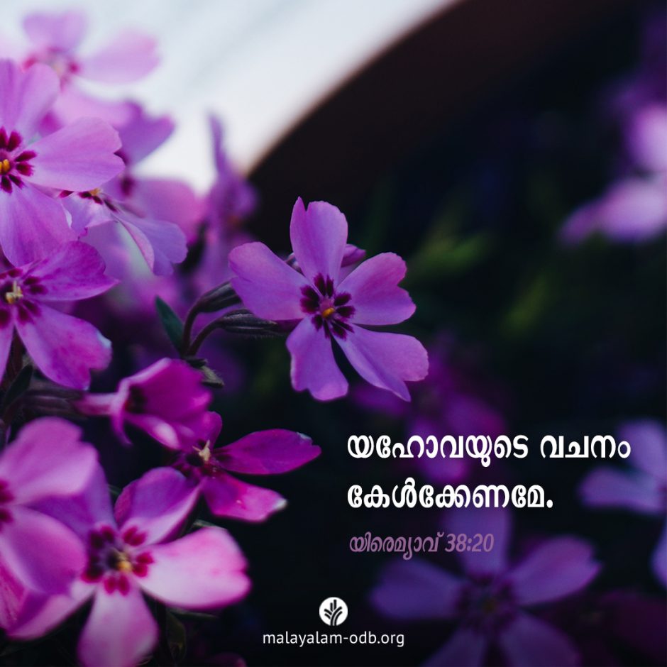 Share Malayalam ODB 2025-12-03