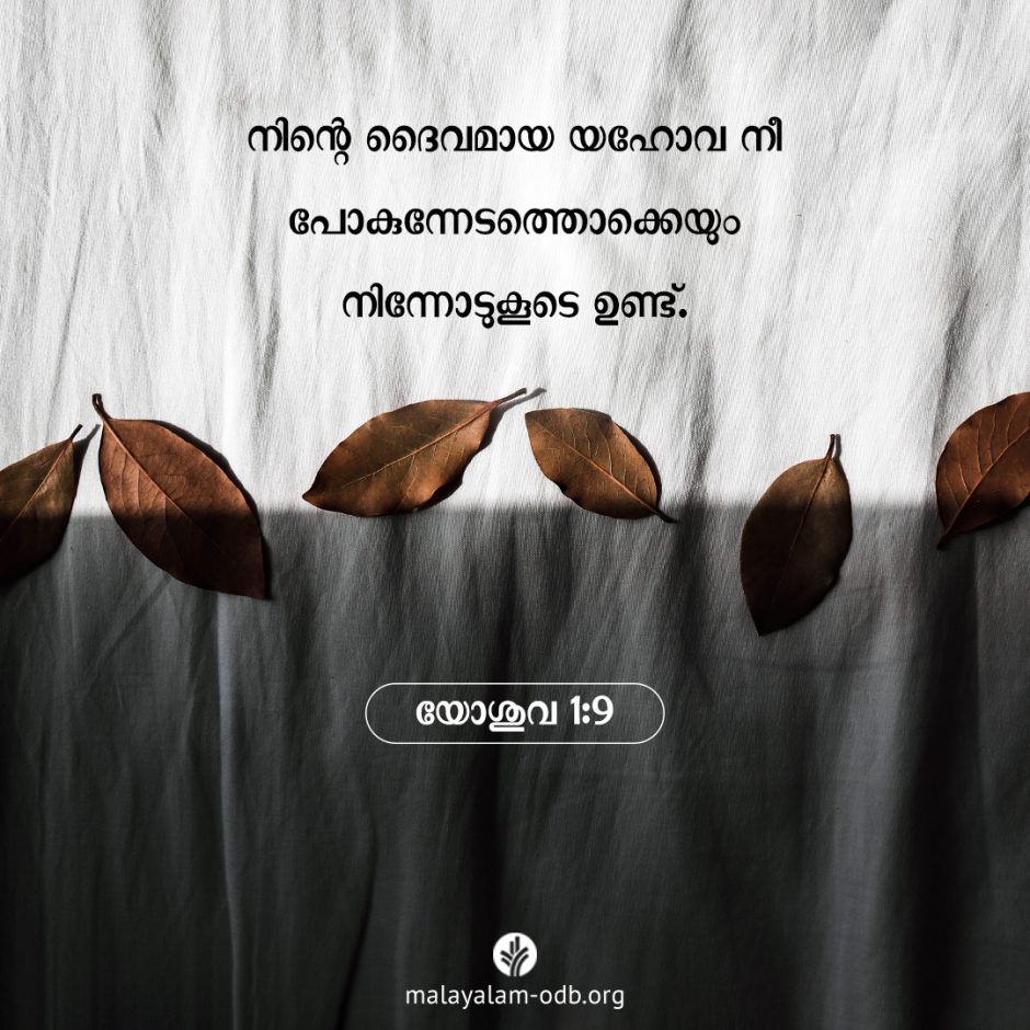 Share Malayalam ODB 2025-12-05