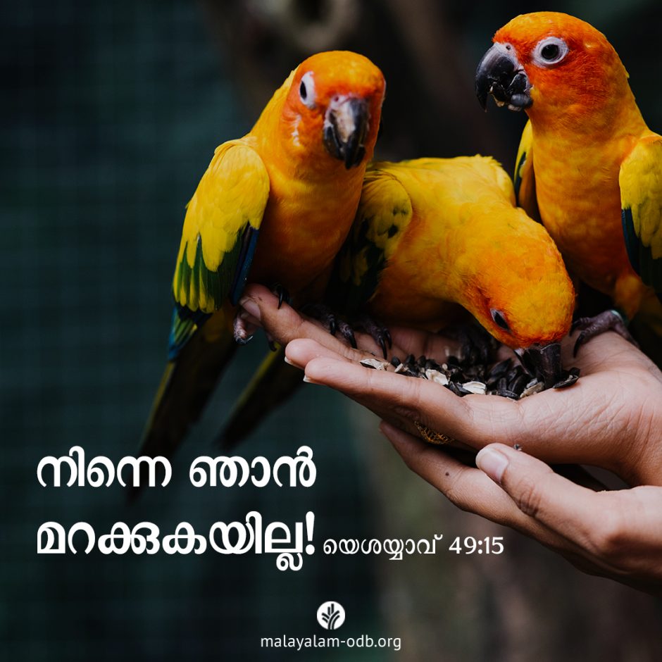 Share Malayalam ODB 2025-12-10