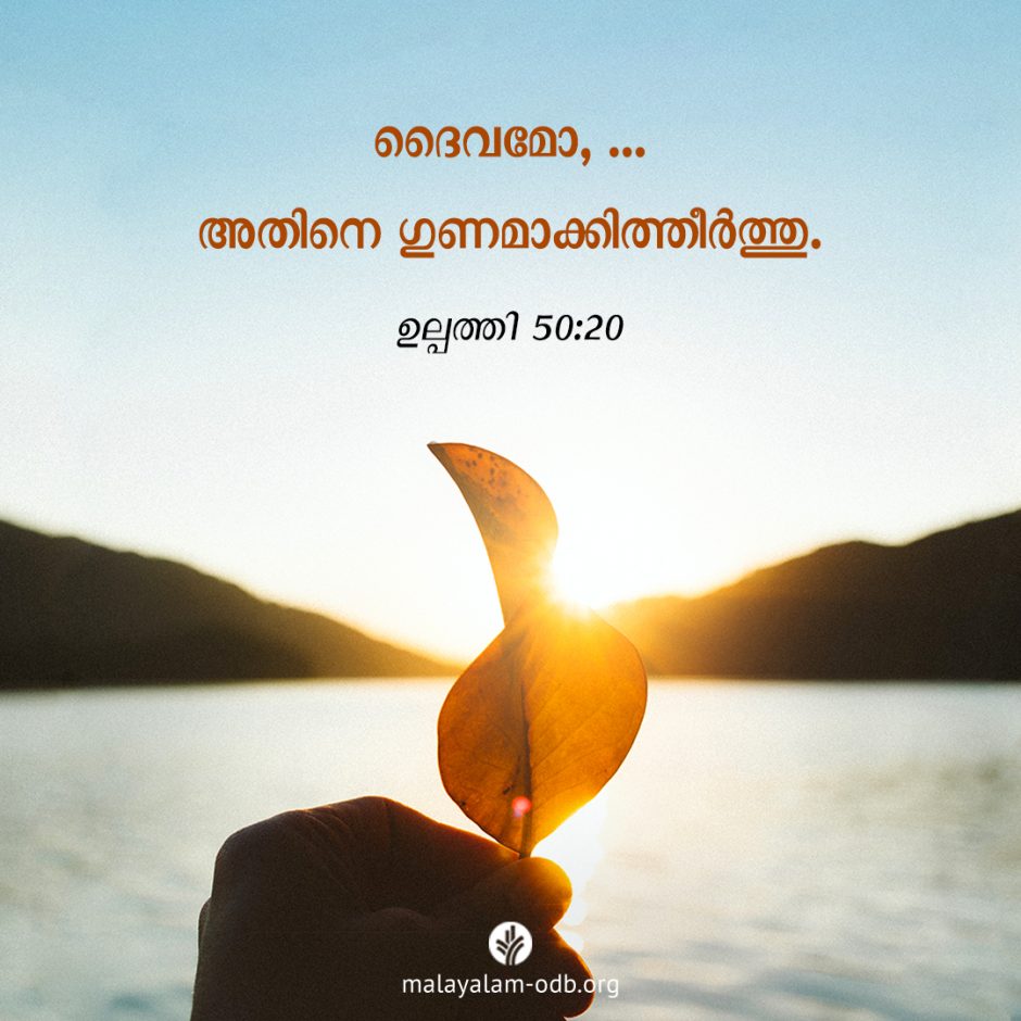 Share Malayalam ODB 2025-12-13 Share Malayalam ODB 2025-12-13