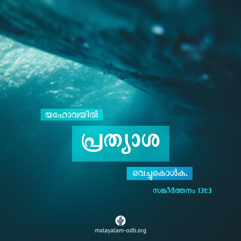 Share Malayalam ODB 2025-12-14