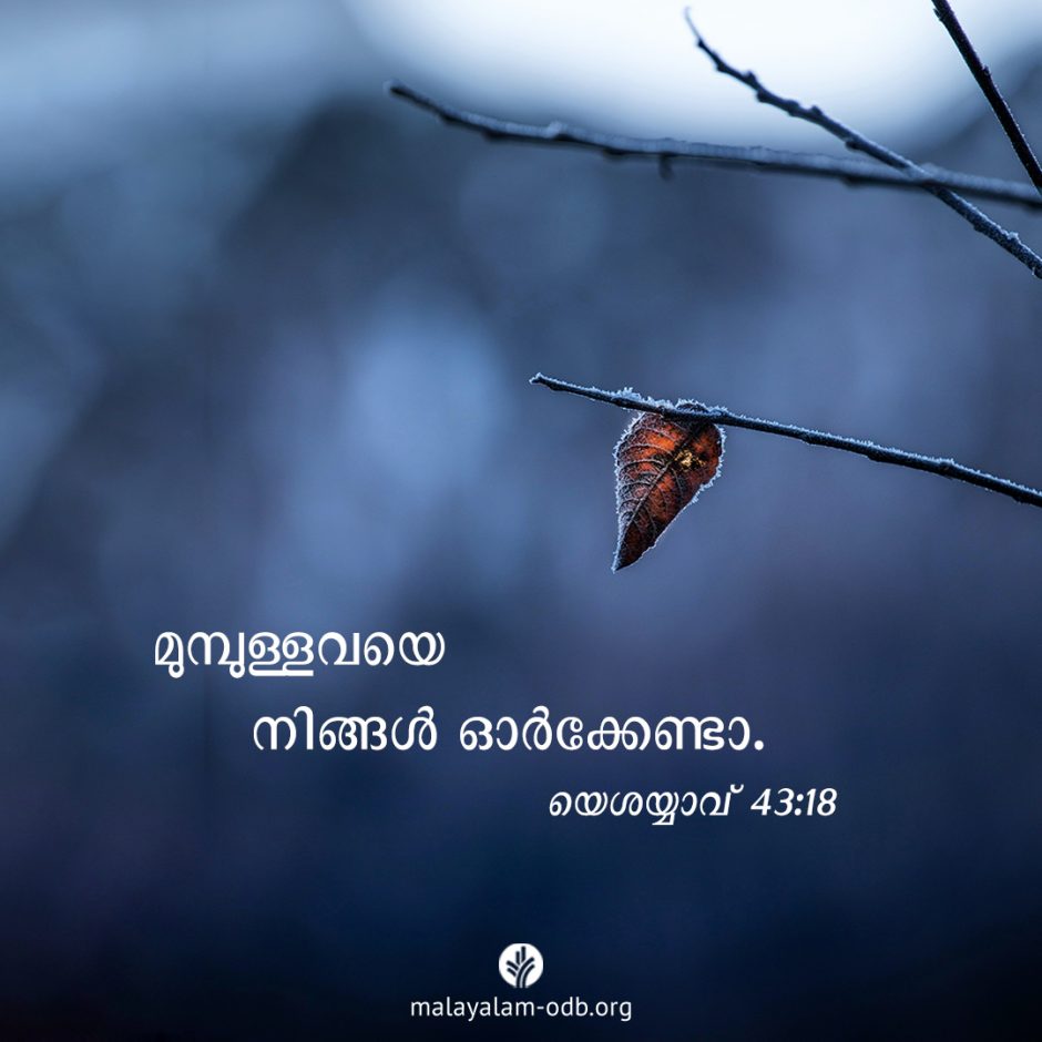 Share Malayalam ODB 2025-12-20 Share Malayalam ODB 2025-12-20