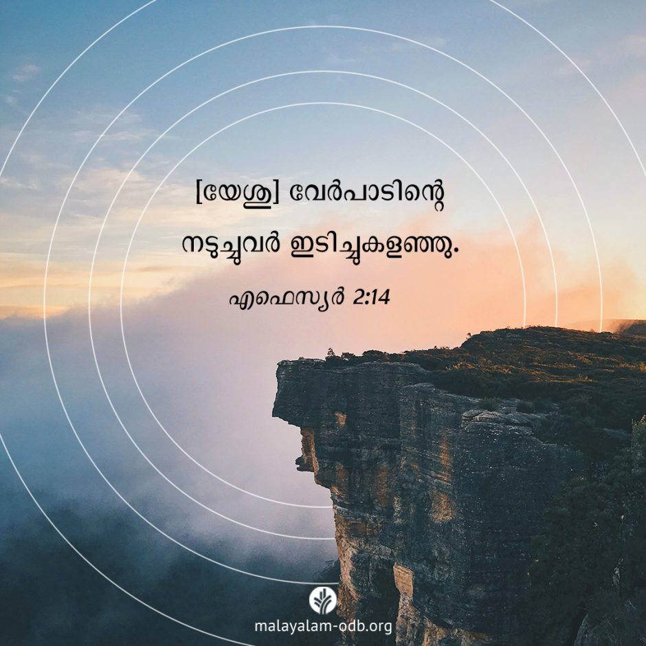 Share Malayalam ODB 2025-12-22