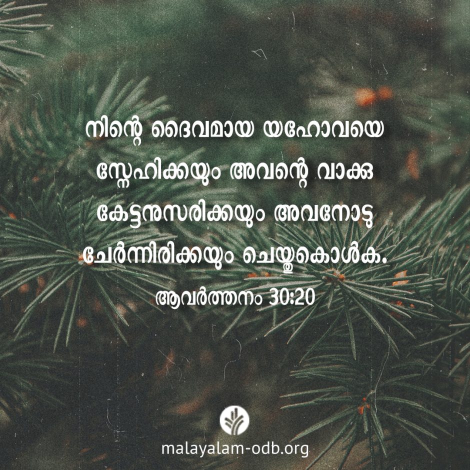 Share Malayalam ODB 2026-01-05 Share Malayalam ODB 2026-01-05