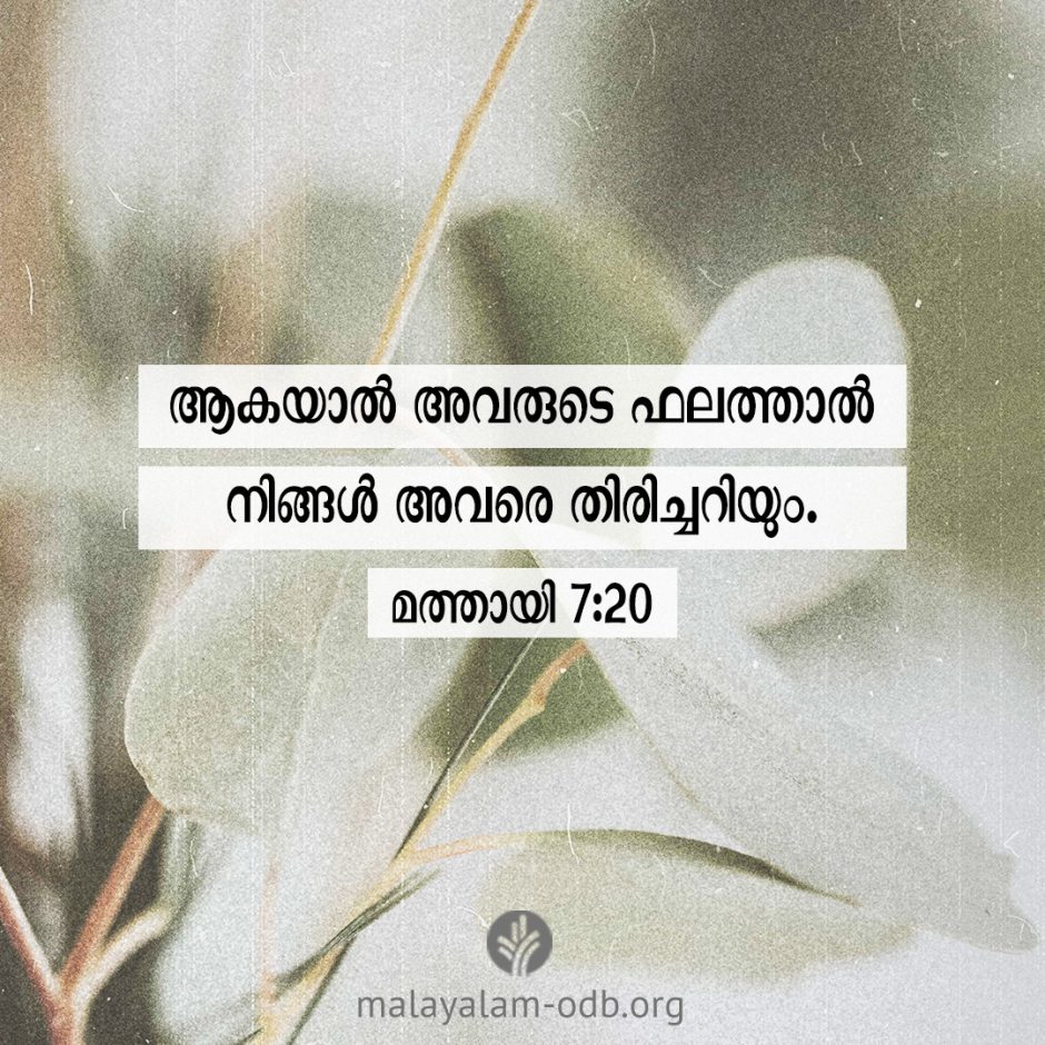 Share Malayalam ODB 2026-01-19 Share Malayalam ODB 2026-01-19