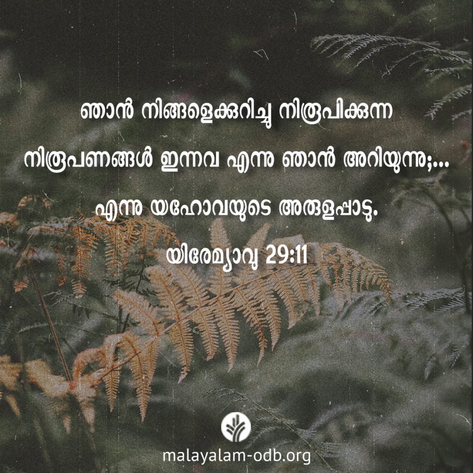 Share Malayalam ODB 2026-01-25