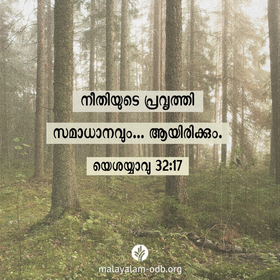 Share Malayalam ODB 2026-01-30 Share Malayalam ODB 2026-01-30