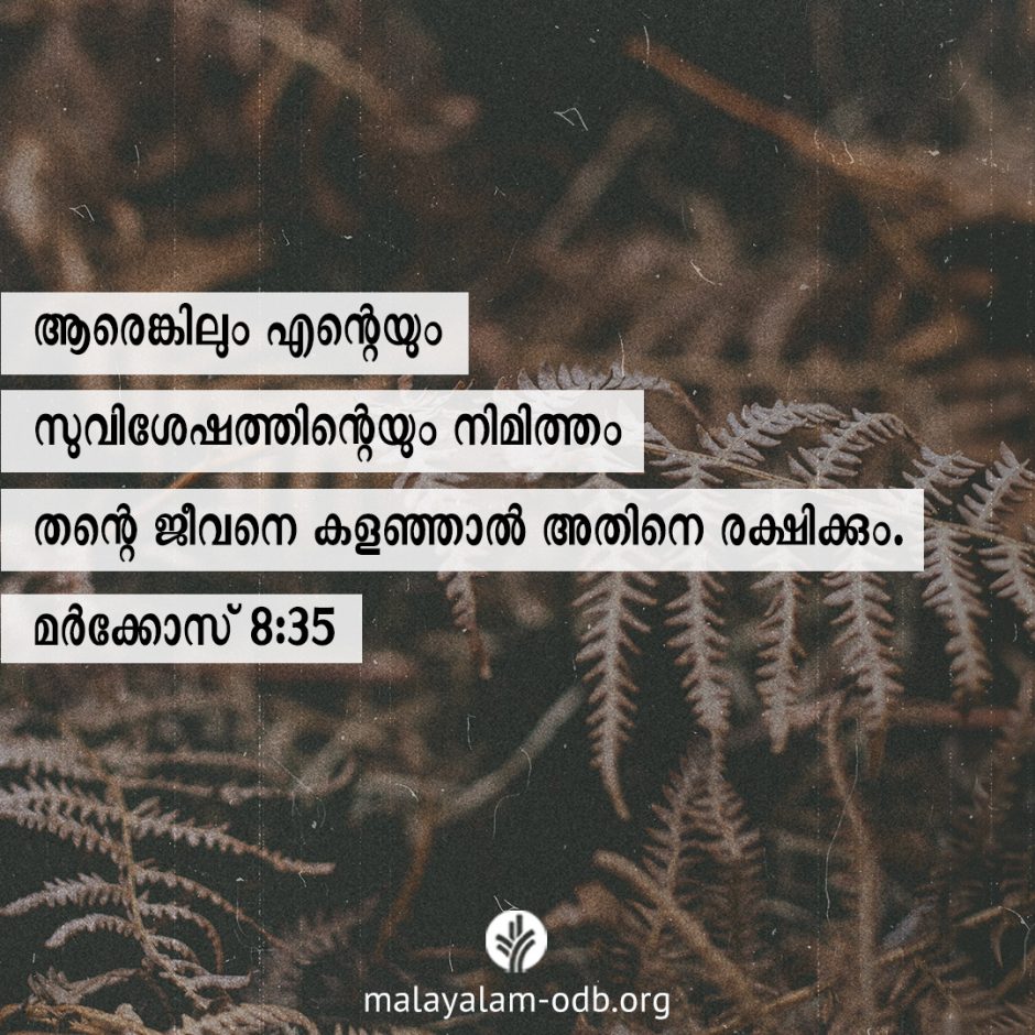 Share Malayalam ODB 2026-01-31