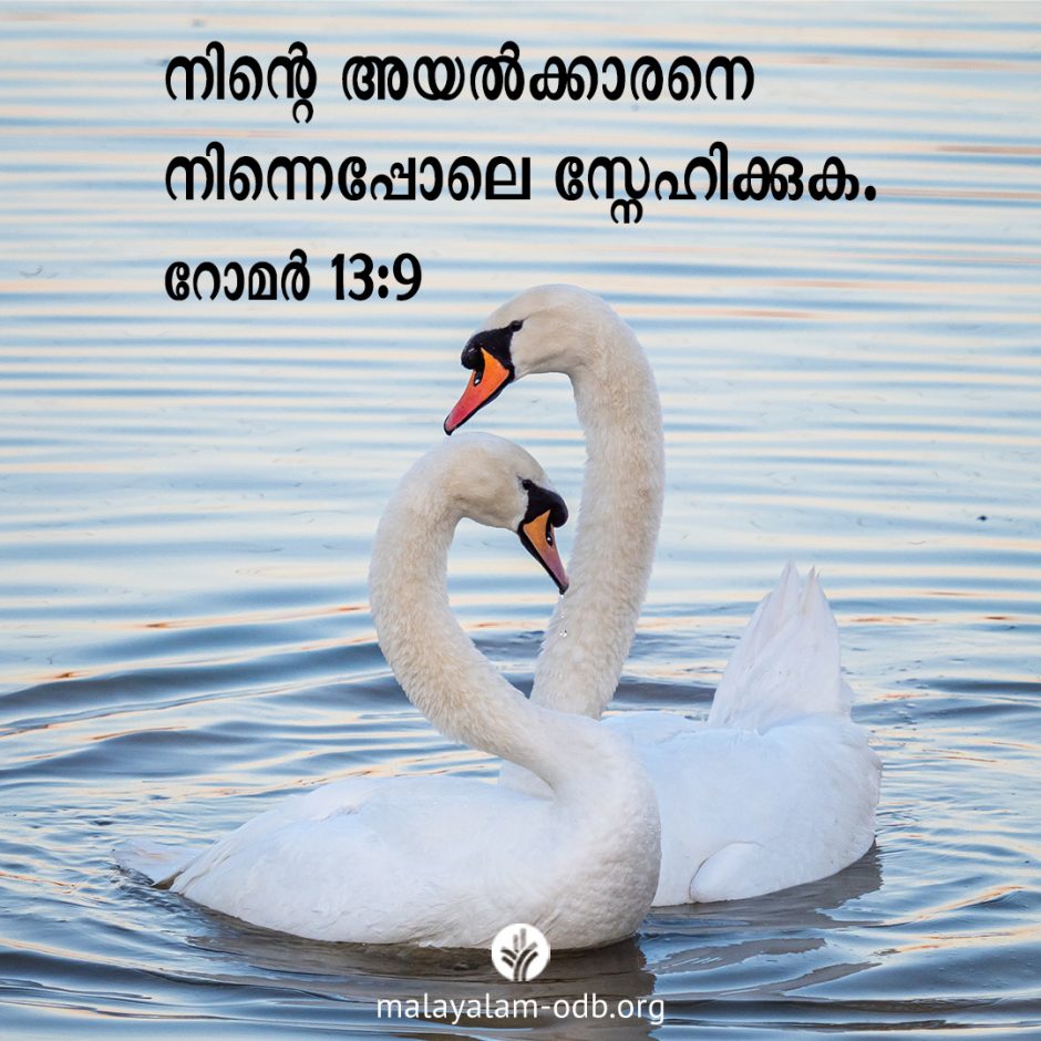 Share Malayalam ODB 2026-02-09