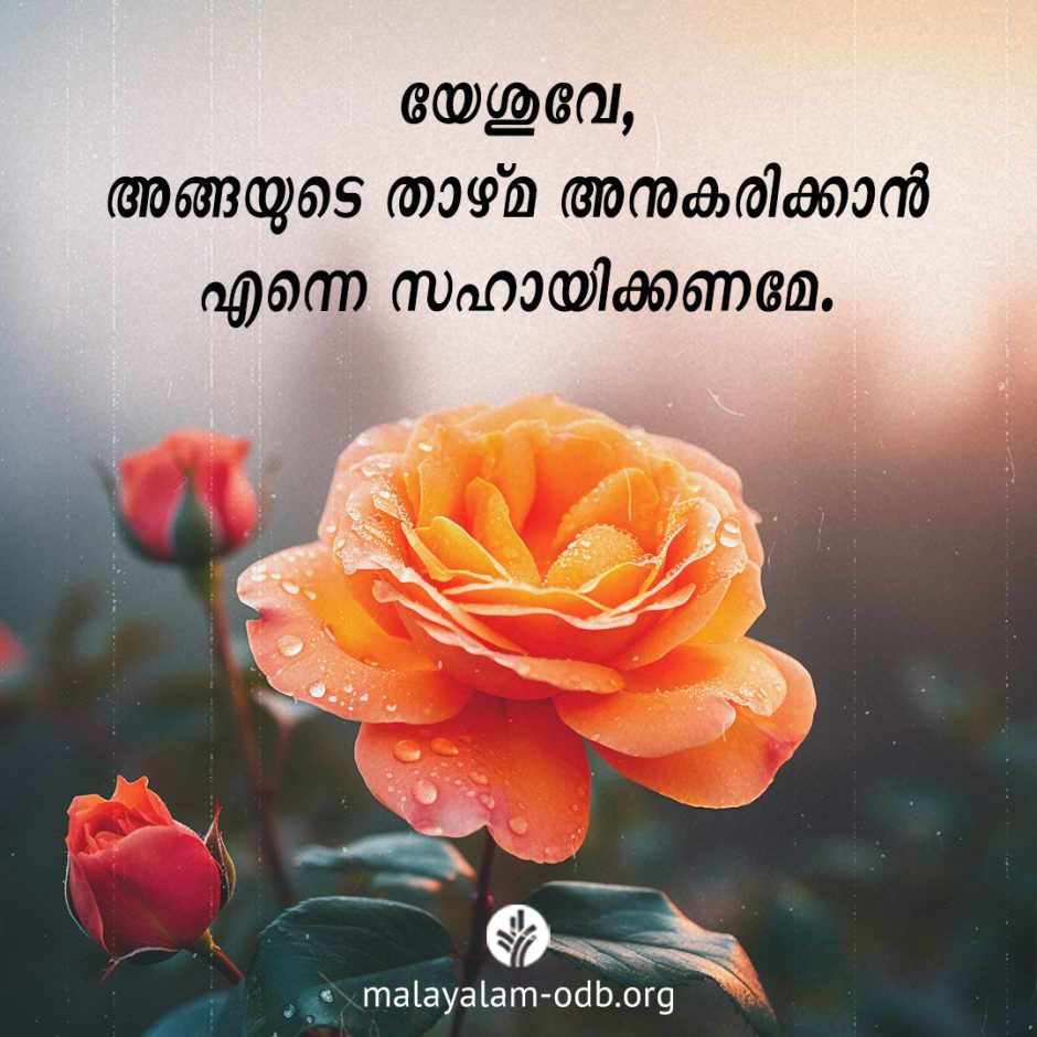 Share Malayalam ODB 2026-02-15