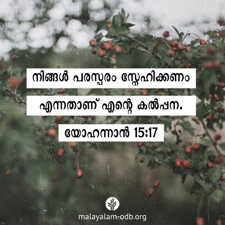 Share Malayalam ODB 2026-02-16