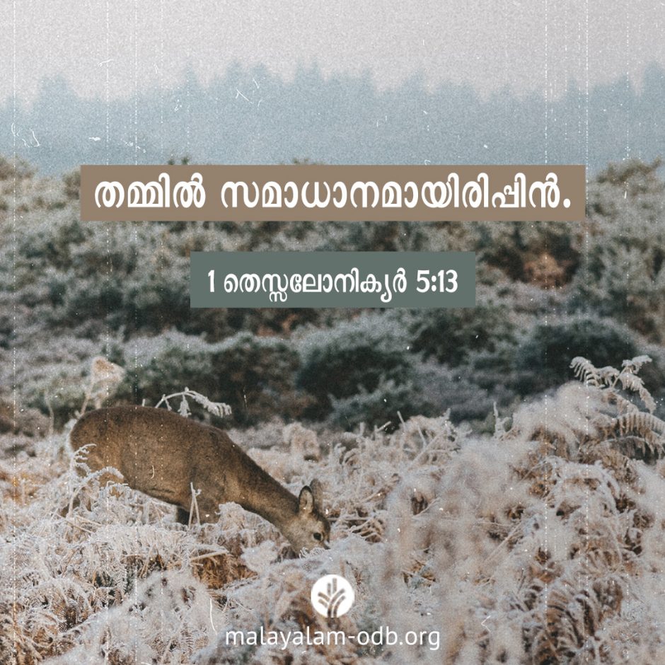 Share Malayalam ODB 2026-02-19 Share Malayalam ODB 2026-02-19