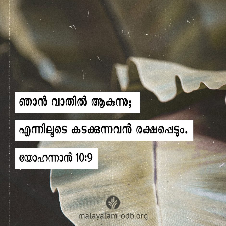 Share Malayalam ODB 2026-02-21 Share Malayalam ODB 2026-02-21