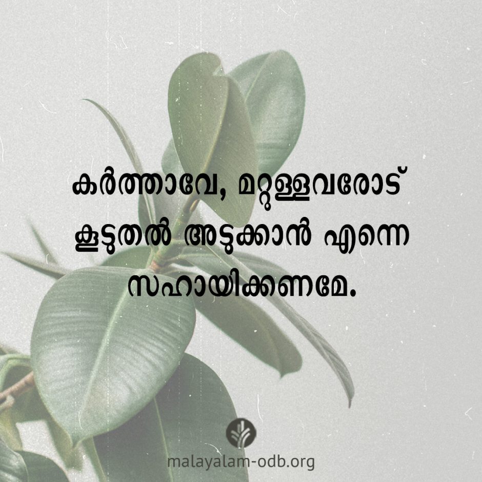Share Malayalam ODB 2026-02-24 Share Malayalam ODB 2026-02-24