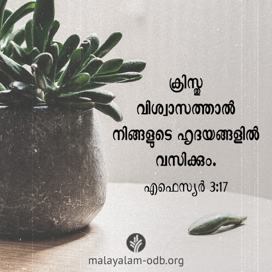 Share Malayalam ODB 2026-03-04 Share Malayalam ODB 2026-03-04